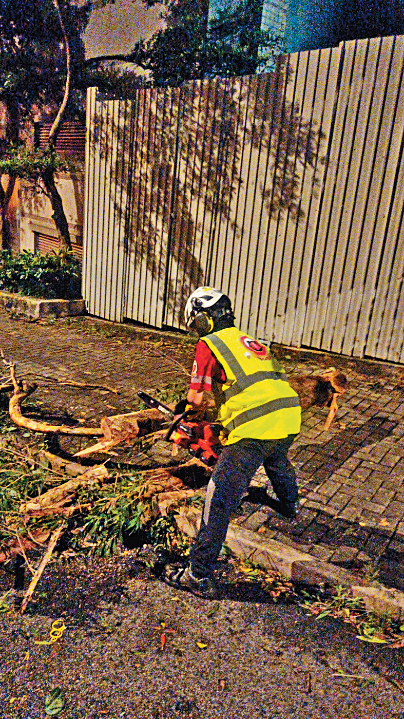 资深“风更”团员在颱风下协助清理塌树。
