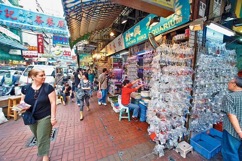 香港另类宠物市场蓬勃，但现行法例未规管售卖带毒性的蝎子等节肢动物。
