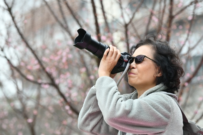 市民带备相机赏樱。