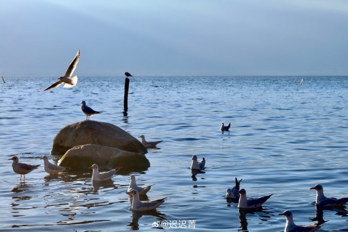 洱海风景美丽，是著名风景旅游区。